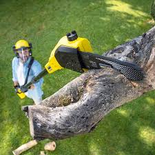 Best Lawn Watering Services  in Dana Point, CA